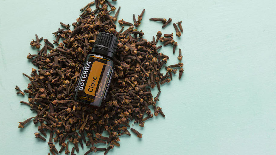 Флакон масла Гвоздика dōTERRA на россыпи бутонов гвоздики