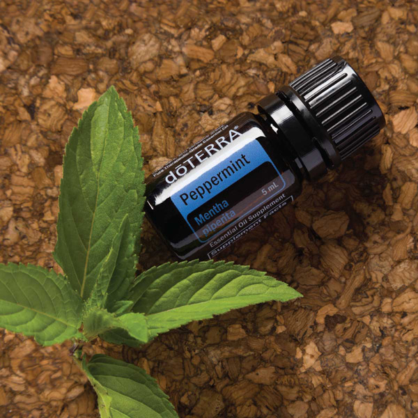 Мята перечная dōTERRA и листья мяты на деревянном столе