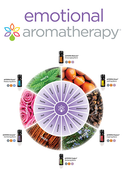 Колесо эмоциональной ароматерапии dōTERRA с шестью смесями