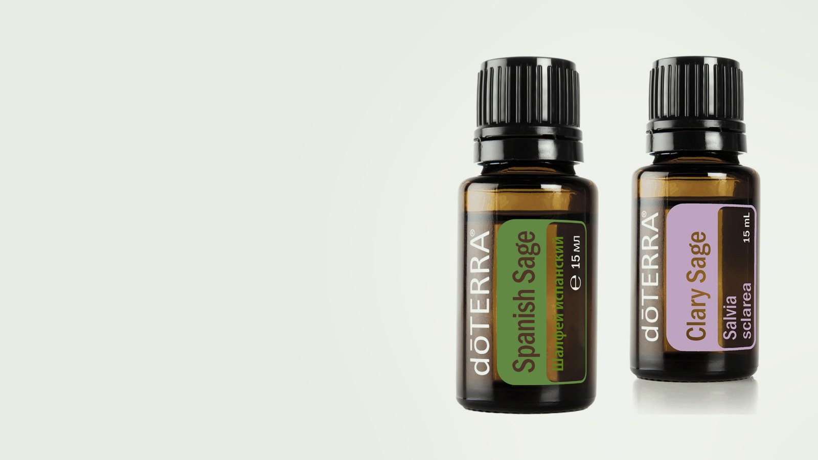 Шалфей dōTERRA: испанский и мускатный, в чём разница и что выбрать