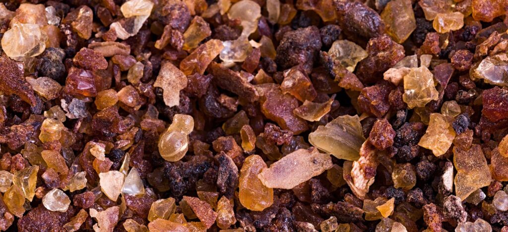 Мирровое дерево Commiphora myrrha