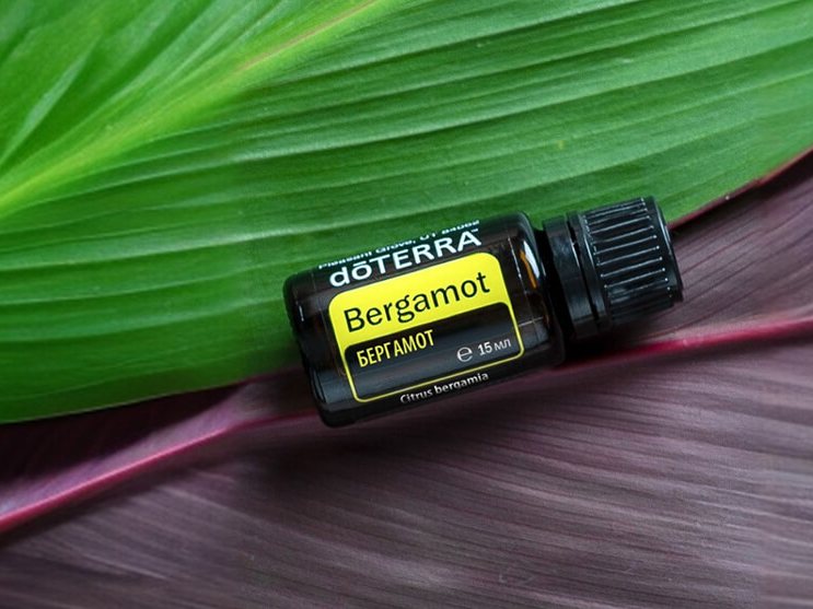 Эфирное масло бергамота dōTERRA на зелёном листе