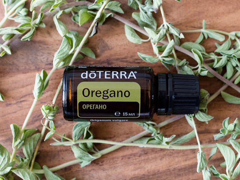 Эфирное масло орегано dōTERRA среди веточек