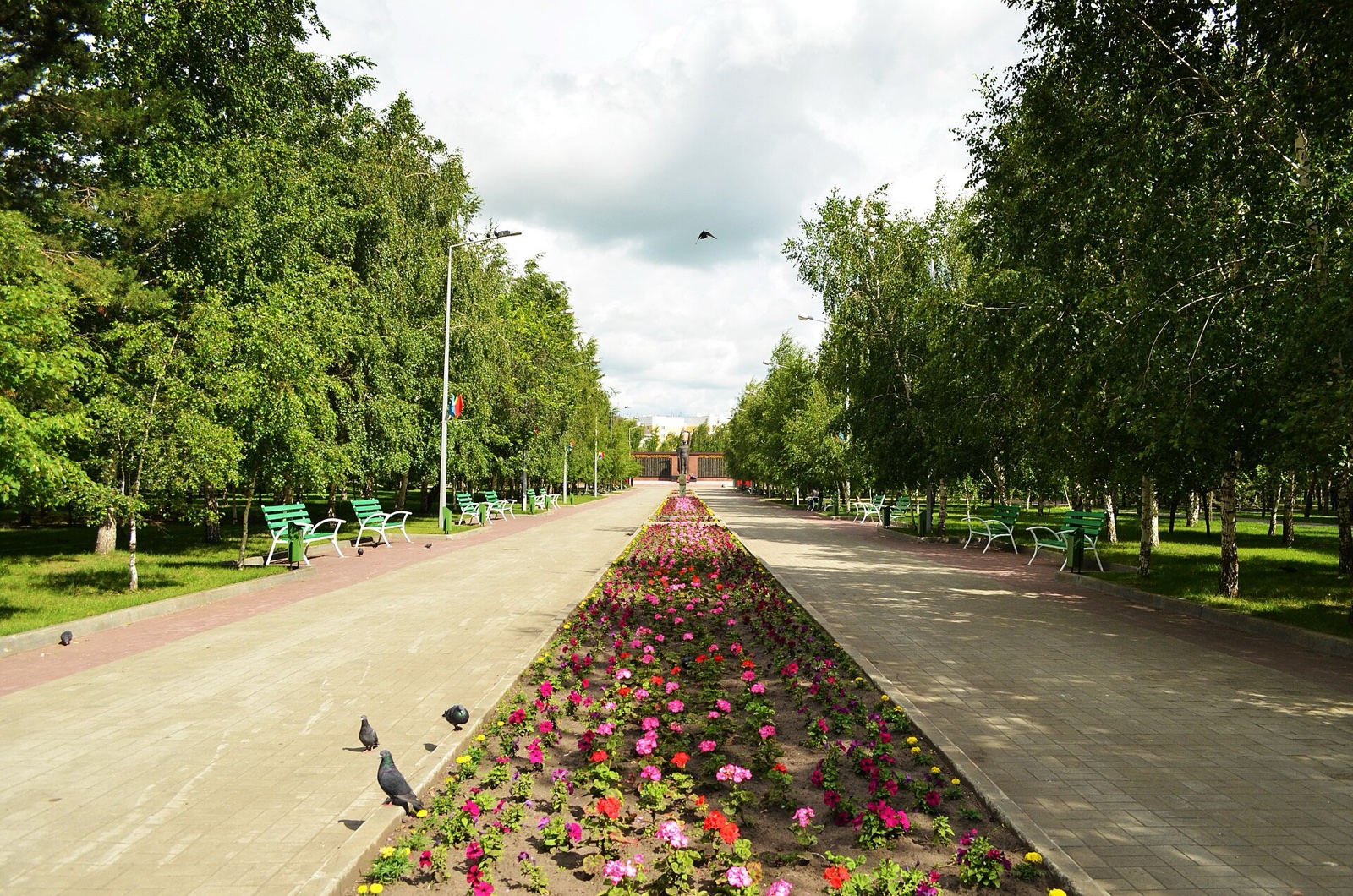 Широкая аллея с клумбой и берёзами в Парке Победы в Костанае