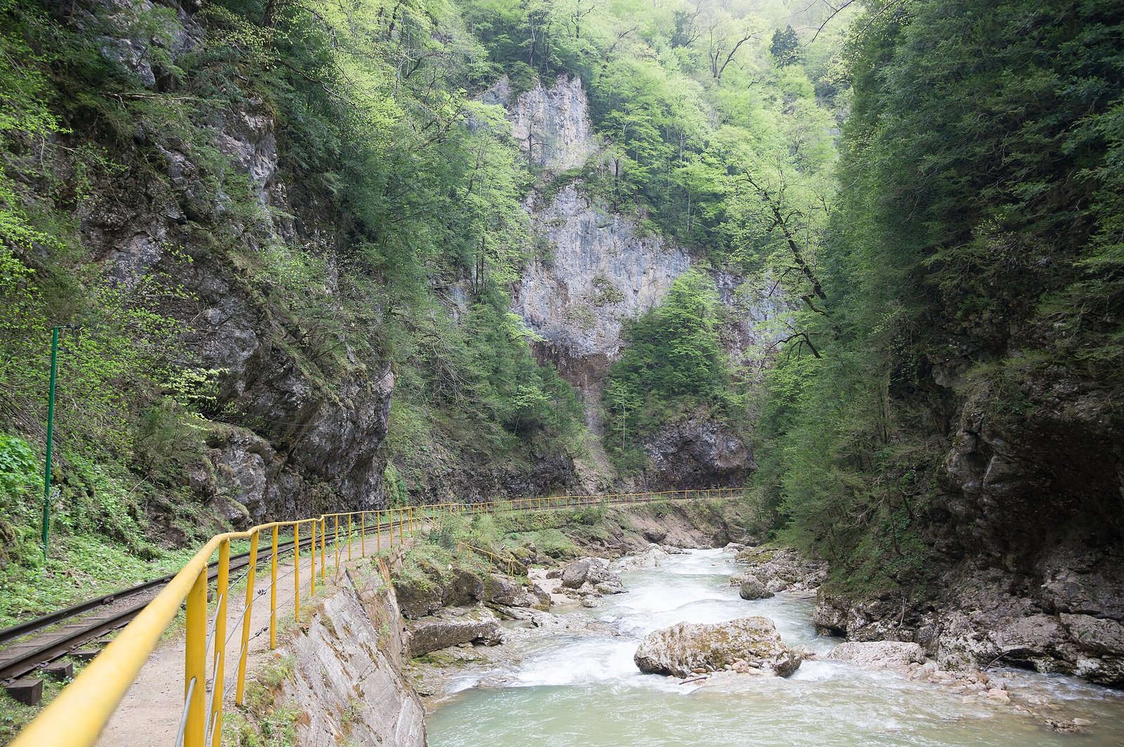 Долина реки Курджипс в Гуамском ущелье, Краснодарский край