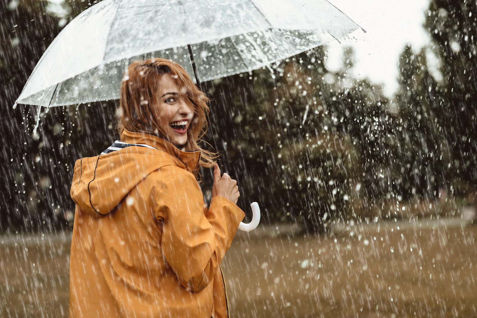 Лимон dōTERRA: как применять масло лимона, 14 способов Лимон dōTERRA: как применять масло лимона, 14 способов: девушка в жёлтом плаще под зонтом в дождь