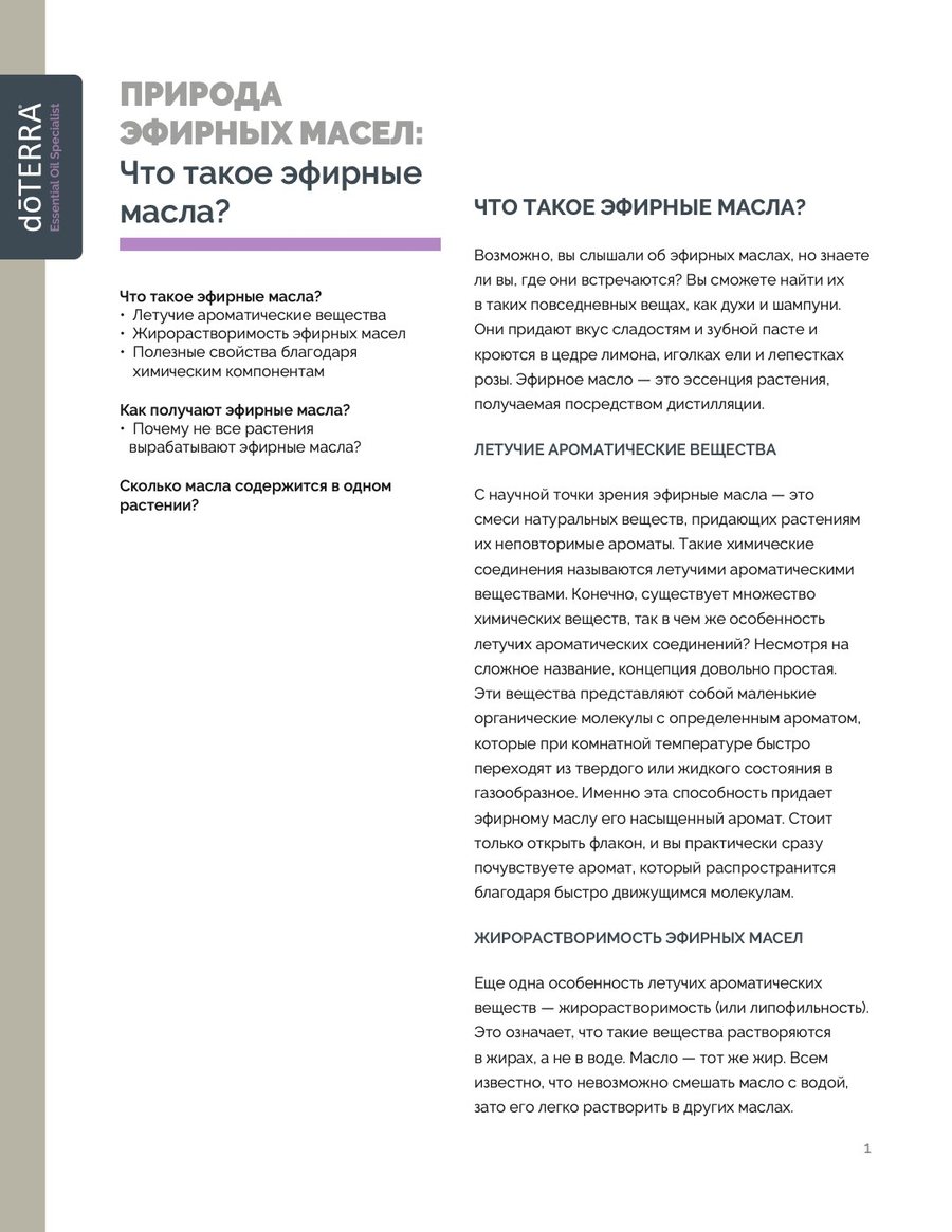 Страница PDF-конспекта урока «Что такое эфирные масла?» Страница PDF-конспекта урока «Что такое эфирные масла?»