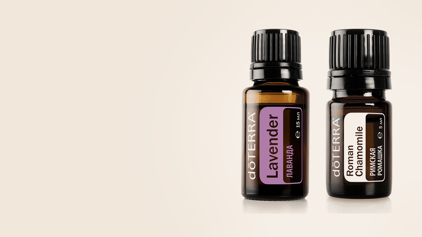 Лаванда, Римская ромашка dōTERRA