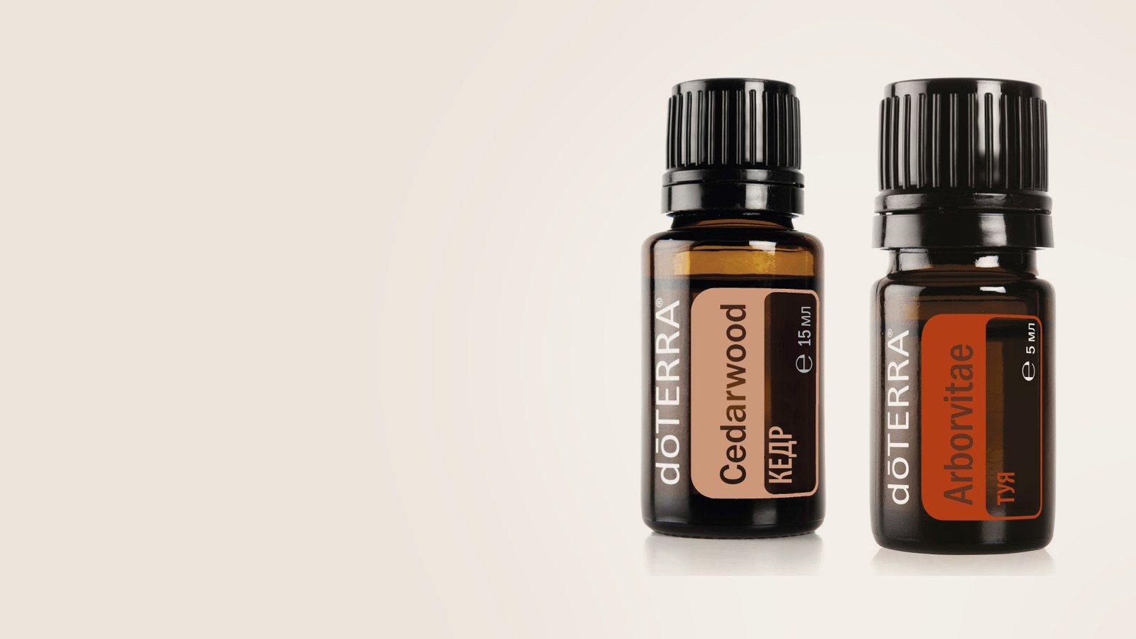 Кедр, Гавайское сандаловое дерево, Туя dōTERRA