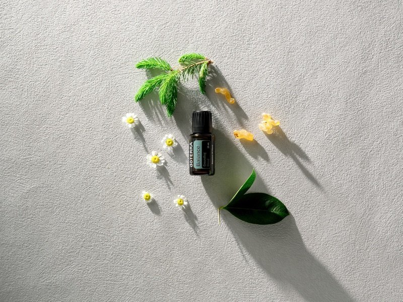 Флакон Баланс dōTERRA среди веточек хвои, цветков ромашки и лепестков