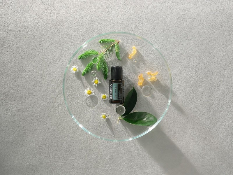 Флакон Баланс dōTERRA на стеклянном блюдце с хвоей, цветками ромашки и лепестками